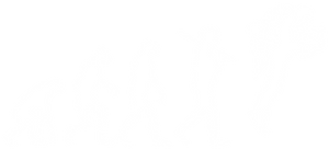 evolve evolution